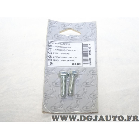 Blister 2 vis boulon fixation echappement silencieux collecteur tuyau 30mm Bosal 258-830 pour divers véhicules fiat alfa romeo l